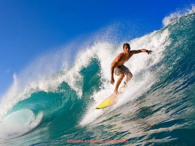 833体育直播-火箭队在线直播链接与平台对比使用指南