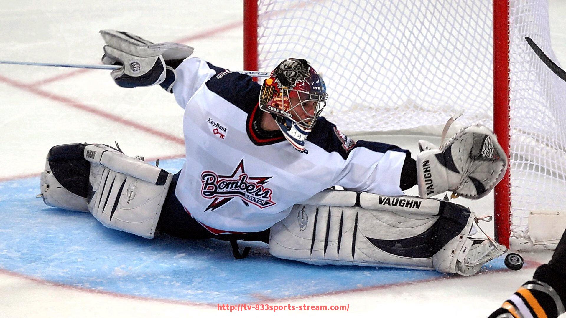 833体育直播-各类健身器材的使用方法与训练部位详解