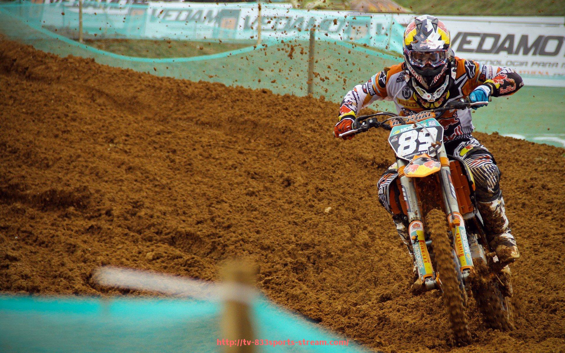 833体育直播-各类健身器材的使用方法与训练部位详解